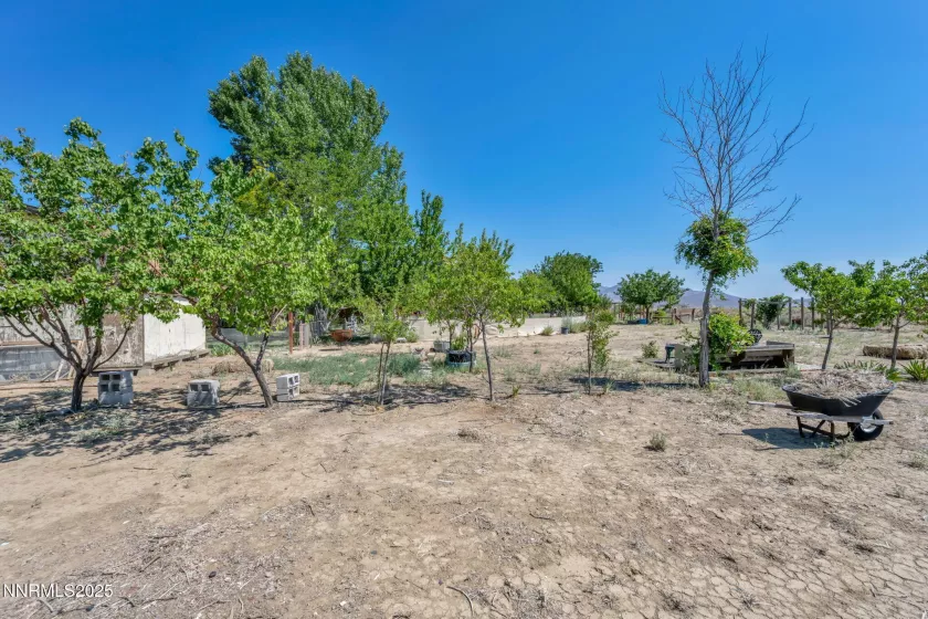 15 Audrey, Carson City, Nevada 89706, 3 Bedrooms Bedrooms, ,2 BathroomsBathrooms,Residential,Residential,Audrey,250053386