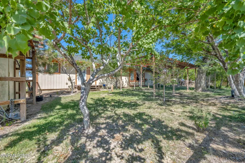 15 Audrey, Carson City, Nevada 89706, 3 Bedrooms Bedrooms, ,2 BathroomsBathrooms,Residential,Residential,Audrey,250053386
