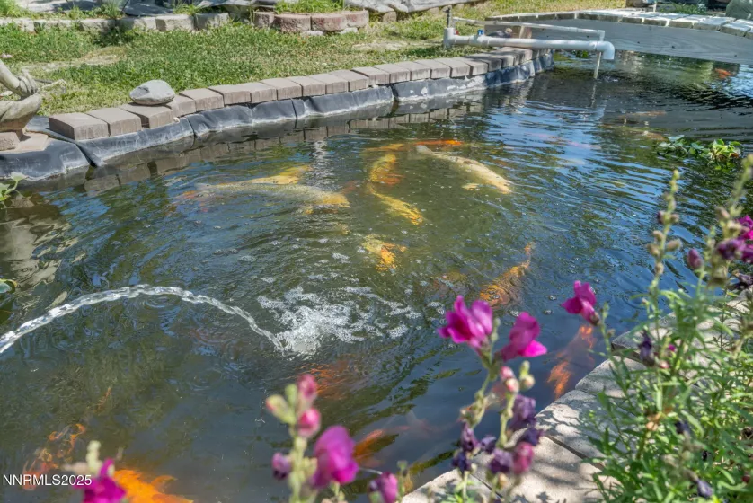 15 Audrey, Carson City, Nevada 89706, 3 Bedrooms Bedrooms, ,2 BathroomsBathrooms,Residential,Residential,Audrey,250053386