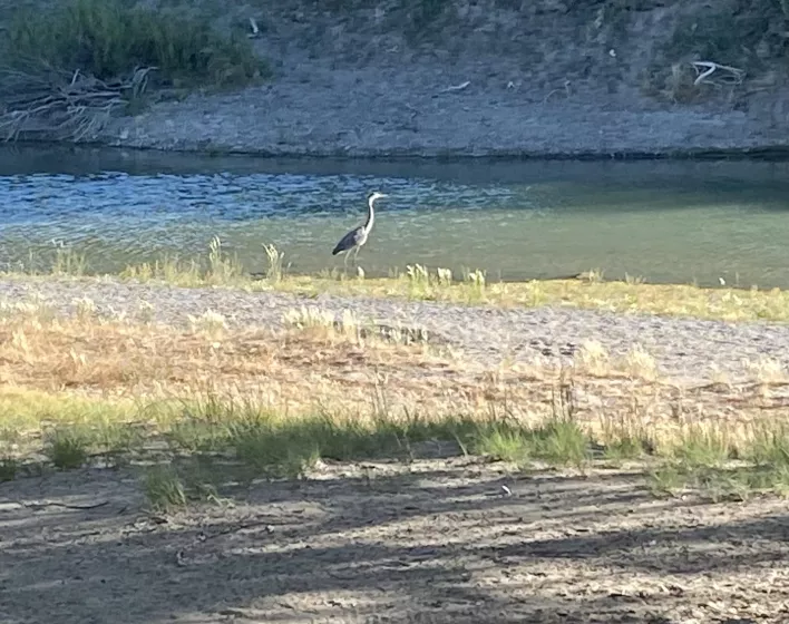 Humboldt River