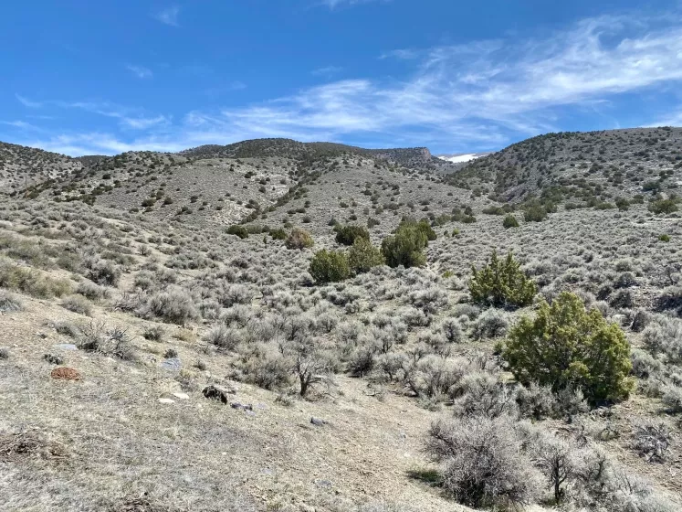 25200 Ramsey, Lovelock, Nevada 89419, ,Land,Residential,Ramsey,250050014
