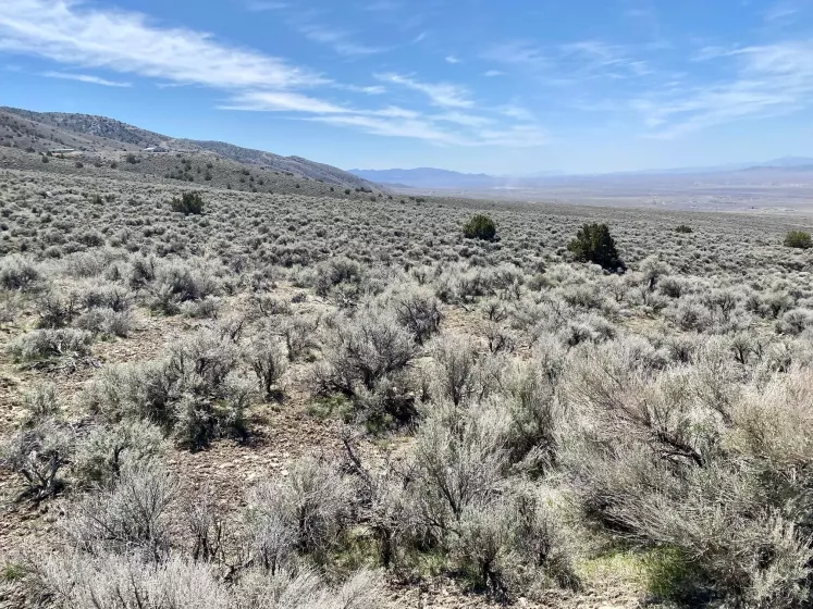 25200 Ramsey, Lovelock, Nevada 89419, ,Land,Residential,Ramsey,250050014