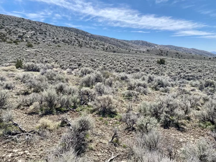25200 Ramsey, Lovelock, Nevada 89419, ,Land,Residential,Ramsey,250050014