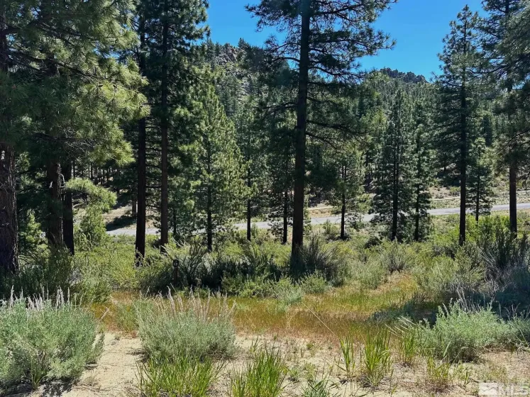 3237 Summit, Carson City, Nevada 89705, ,Land,Residential,Summit,0,250050002