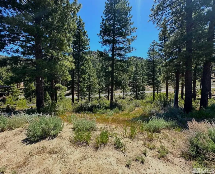 3237 Summit, Carson City, Nevada 89705, ,Land,Residential,Summit,0,250050002