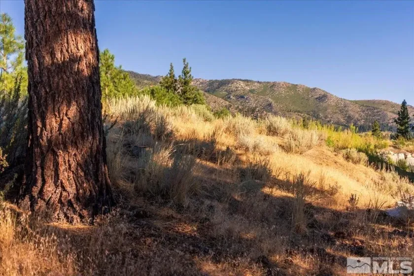 3237 Summit, Carson City, Nevada 89705, ,Land,Residential,Summit,0,250050002