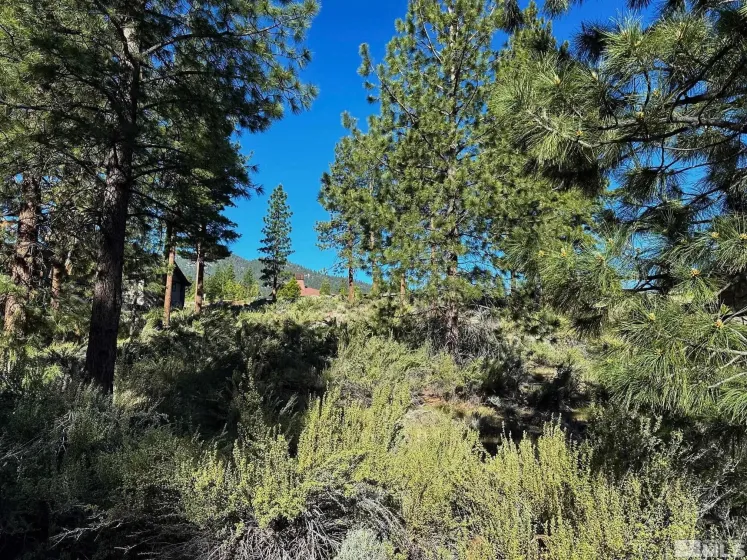 3237 Summit, Carson City, Nevada 89705, ,Land,Residential,Summit,0,250050002