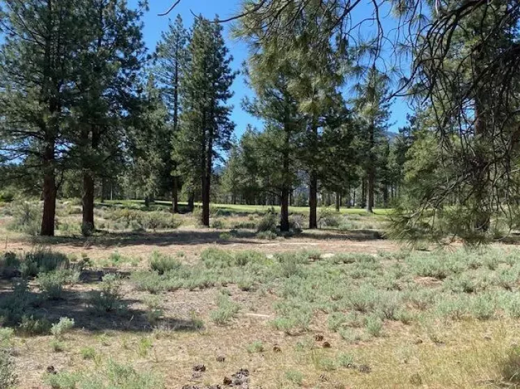 3541 Golf Club, Carson City, Nevada 89705, ,Land,Residential,Golf Club,250050070