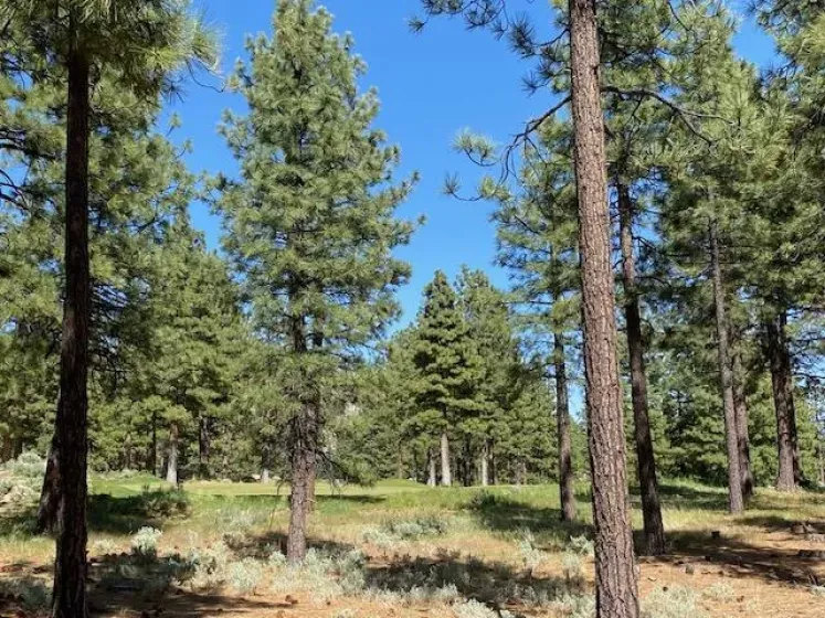 3541 Golf Club, Carson City, Nevada 89705, ,Land,Residential,Golf Club,250050070