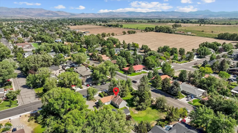 1606 10th, Minden, Nevada 89423, 4 Bedrooms Bedrooms, ,1 BathroomBathrooms,Residential,Residential,10th,250053392