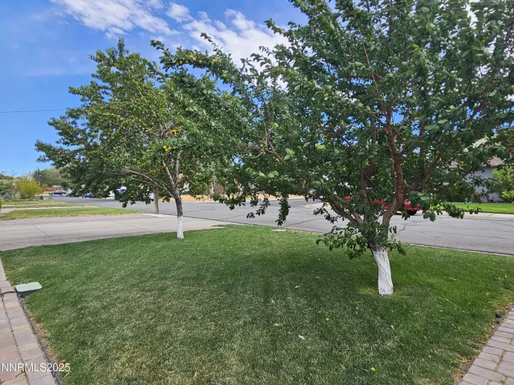 1195 Curti, Reno, Nevada 89502, 3 Bedrooms Bedrooms, ,1 BathroomBathrooms,Residential,Residential,Curti,250053403