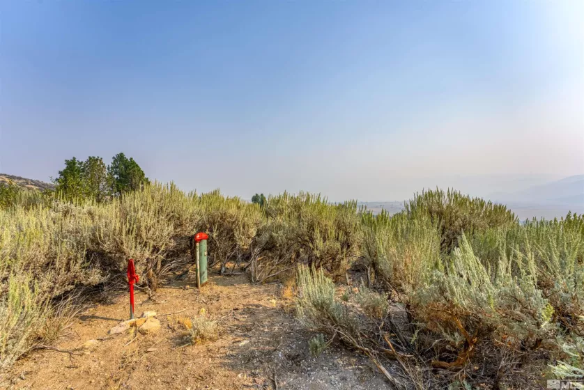 7595 Service Berry, Washoe Valley, Nevada 89704, ,Land,Residential,Service Berry,220013973