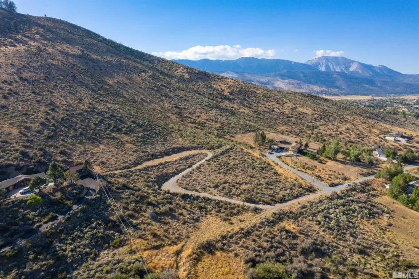 7595 Service Berry, Washoe Valley, Nevada 89704, ,Land,Residential,Service Berry,220013973