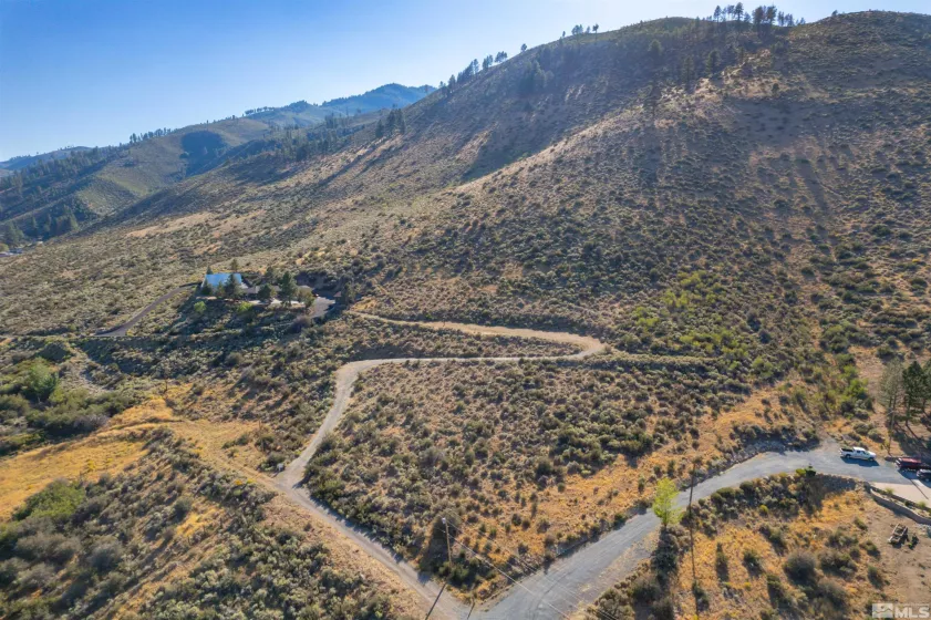 7595 Service Berry, Washoe Valley, Nevada 89704, ,Land,Residential,Service Berry,220013973