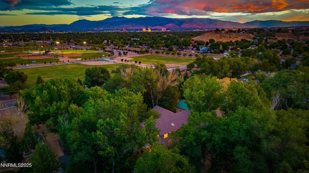 AERIAL