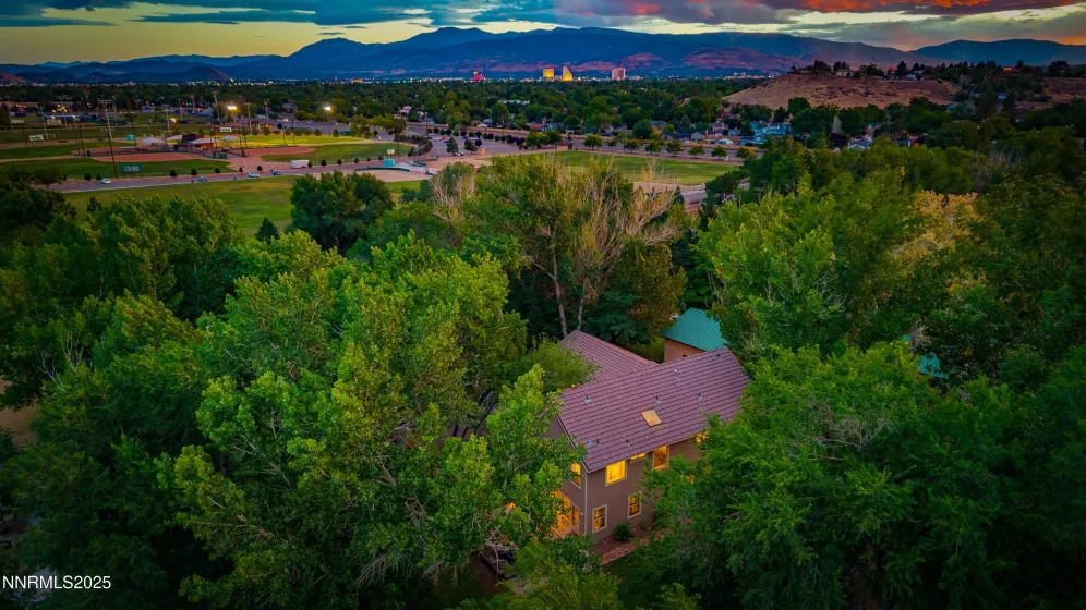 AERIAL