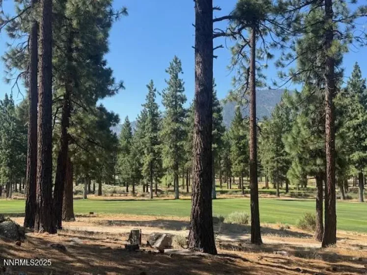 193 Redding, Carson City, Nevada 89705, ,Land,Residential,Redding,250053446