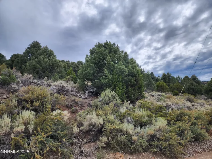 21915 Panhandle, Reno, Nevada 89521, ,Land,Residential,Panhandle,250053450