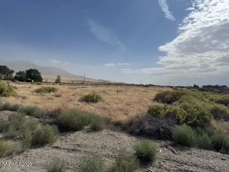 05 Shoshone St, Imlay, Nevada 89418, ,Land,Residential,Shoshone St,250053491