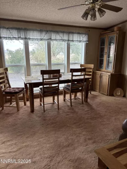 1095 7th, Silver Springs, Nevada 89429, 3 Bedrooms Bedrooms, ,3 BathroomsBathrooms,Residential,Residential,7th,250053502