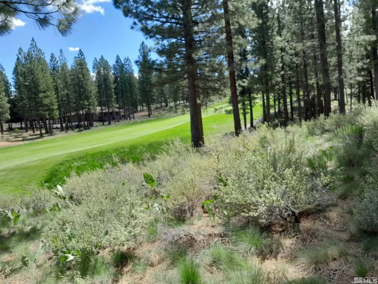 1387 Eagle Feather, Other, California 99999, ,Land,Residential,Eagle Feather,250006277