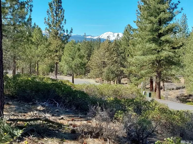 5028 Harvest Moon, Other, California 99999, ,Land,Residential,Harvest Moon,250006282