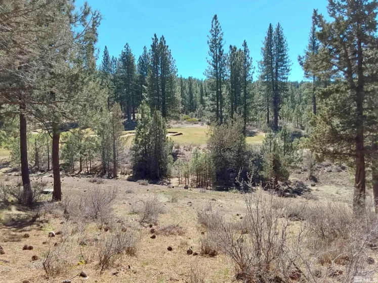 522 Sunburst, Other, California 99999, ,Land,Residential,Sunburst,250006274