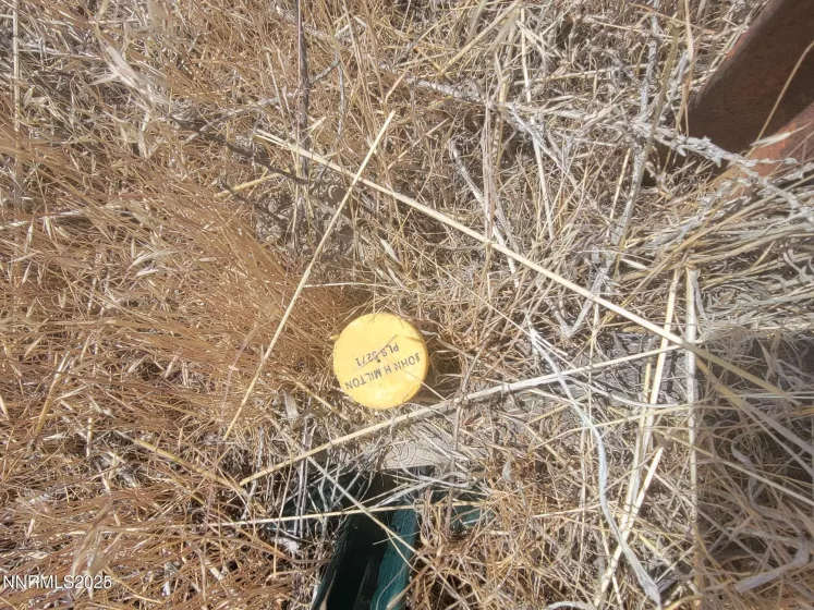 SW corner surveyor stake
