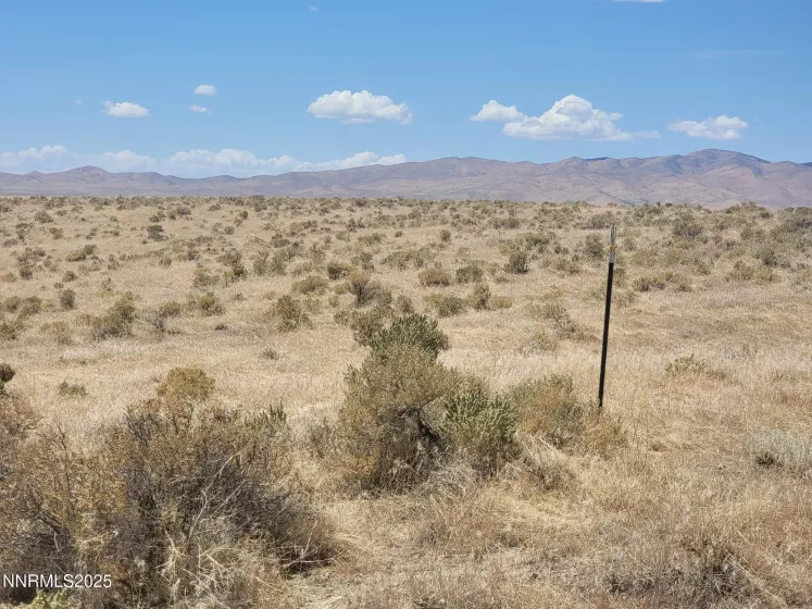 SE corner t-post. No surveyor stake.