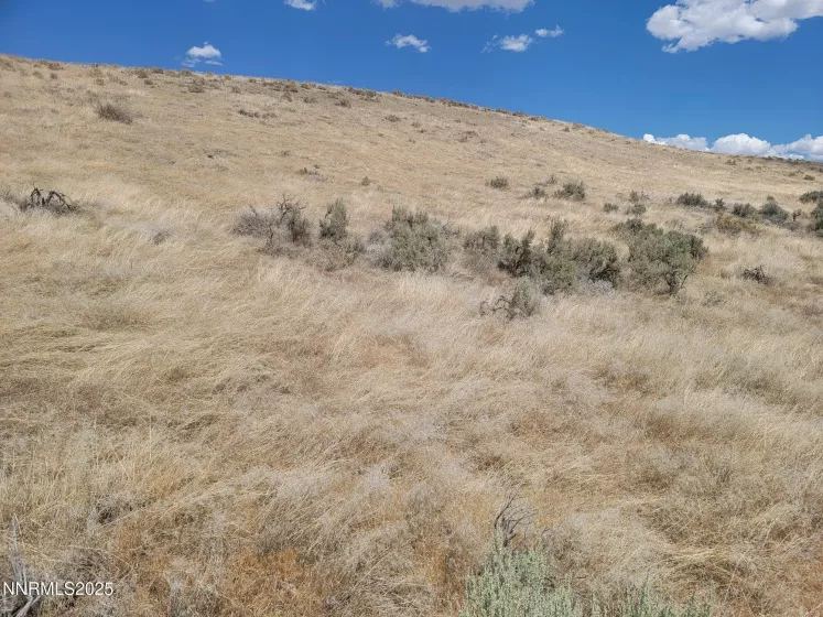 APN 008-090-06, Imlay, Nevada 89418, ,Land,Residential,008-090-06,250053514