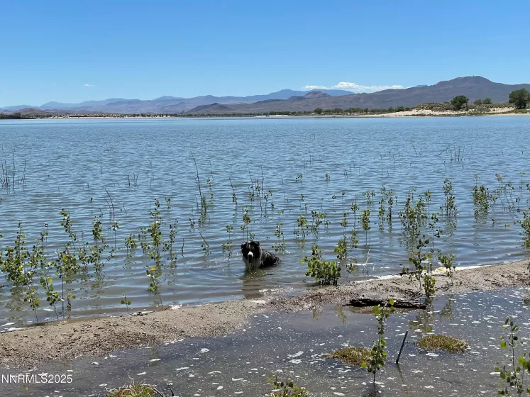 4030 Myrtle, Silver Springs, Nevada 89429, ,Land,Residential,Myrtle,250053540