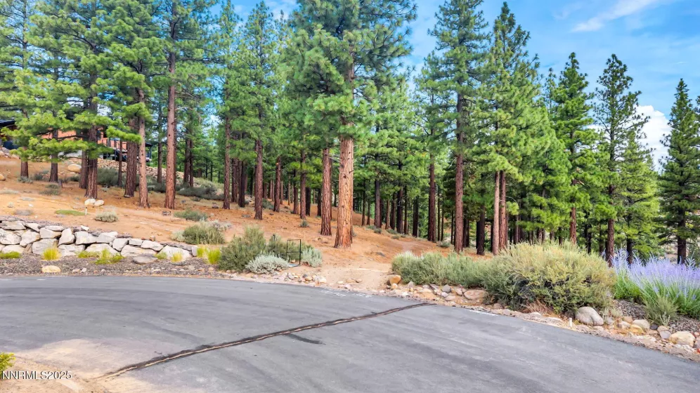 205 Timbercreek, Reno, Nevada 89511, ,Land,Residential,Timbercreek,250053550