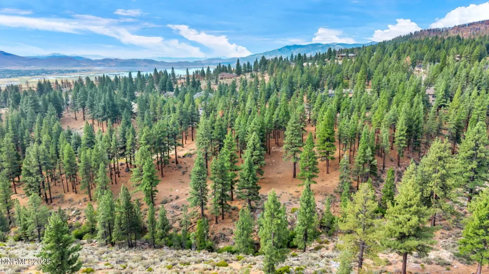 205 Timbercreek, Reno, Nevada 89511, ,Land,Residential,Timbercreek,250053550