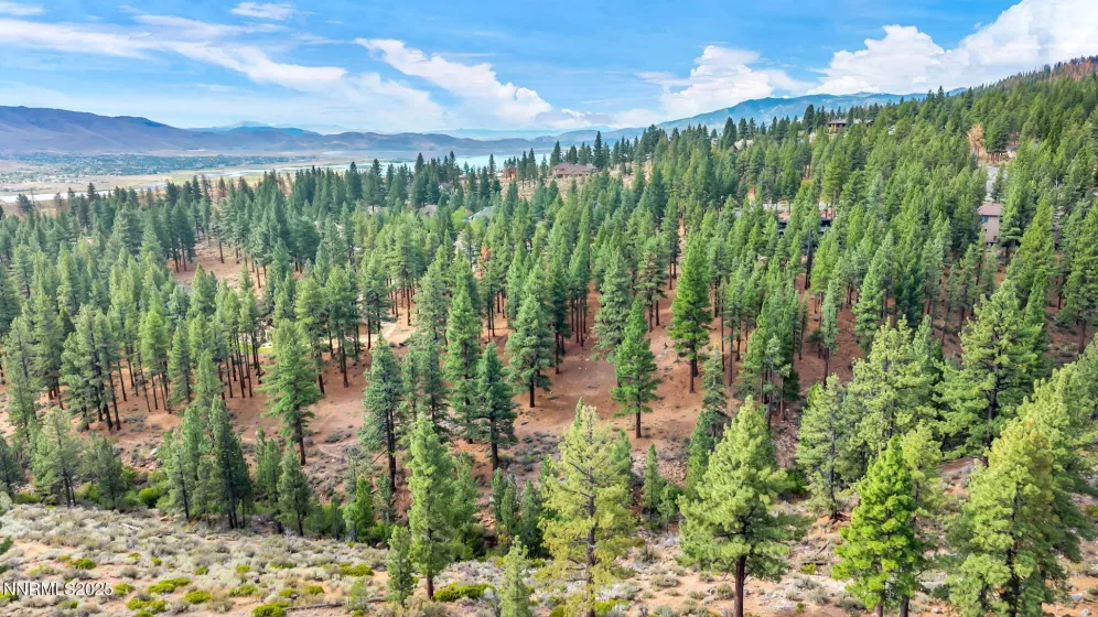 205 Timbercreek, Reno, Nevada 89511, ,Land,Residential,Timbercreek,250053550