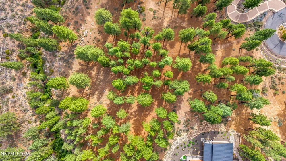 205 Timbercreek, Reno, Nevada 89511, ,Land,Residential,Timbercreek,250053550