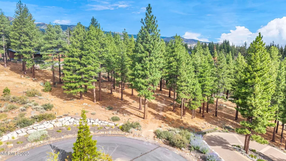 205 Timbercreek, Reno, Nevada 89511, ,Land,Residential,Timbercreek,250053550