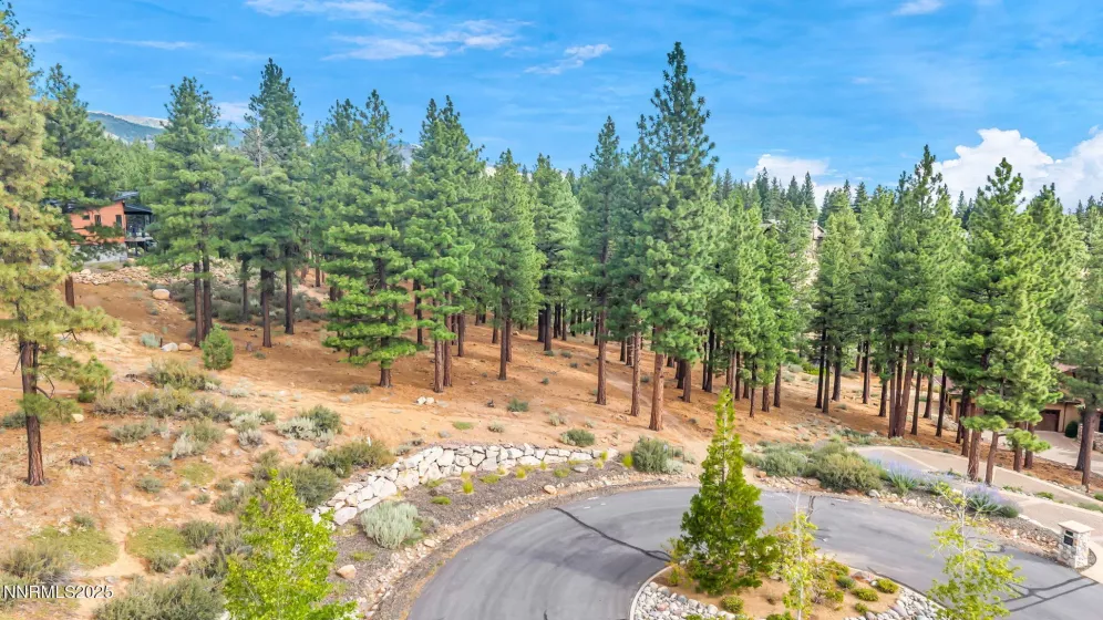 205 Timbercreek, Reno, Nevada 89511, ,Land,Residential,Timbercreek,250053550