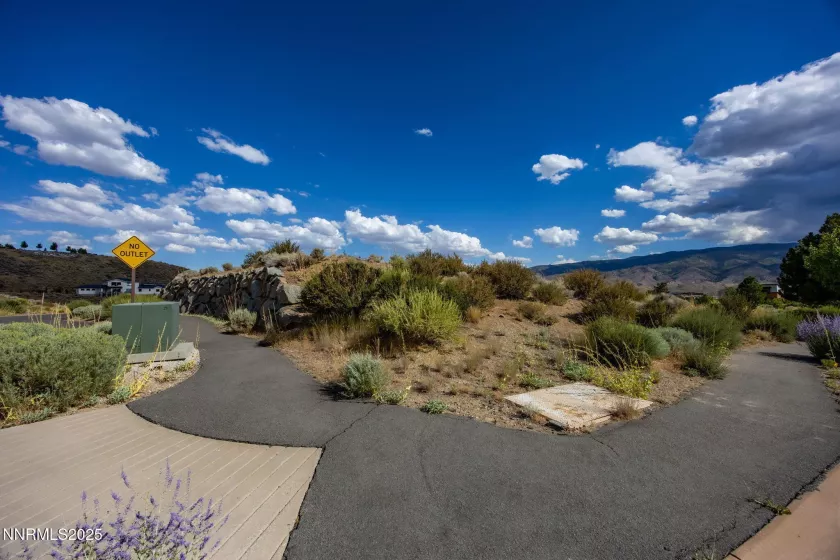 2595 Drake Wood, Reno, Nevada 89523, ,Land,Residential,Drake Wood,250053572