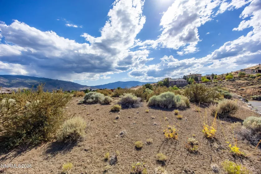 2595 Drake Wood, Reno, Nevada 89523, ,Land,Residential,Drake Wood,250053572
