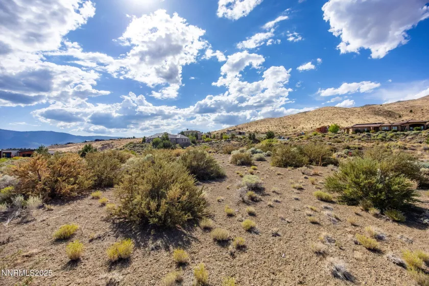 2595 Drake Wood, Reno, Nevada 89523, ,Land,Residential,Drake Wood,250053572