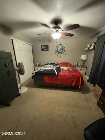 743 Lyell, Gardnerville, Nevada 89460, 3 Bedrooms Bedrooms, ,2 BathroomsBathrooms,Residential,Residential,Lyell,250053601