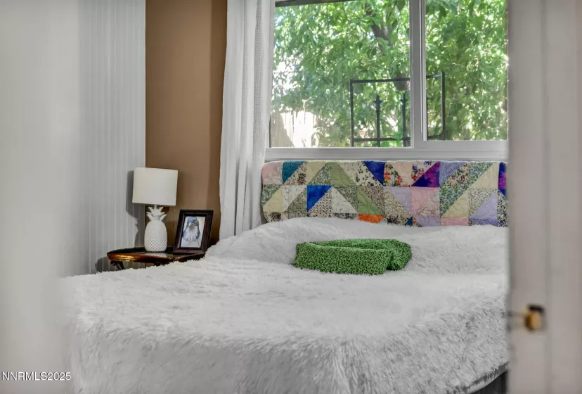 734 and 732 Sean, Carson City, Nevada 89701, ,Residential Income,Residential,Sean,250053606