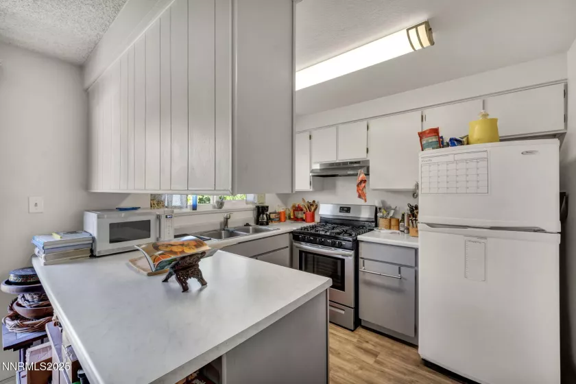 734 and 732 Sean, Carson City, Nevada 89701, ,Residential Income,Residential,Sean,250053606