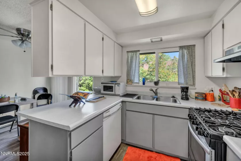 734 and 732 Sean, Carson City, Nevada 89701, ,Residential Income,Residential,Sean,250053606