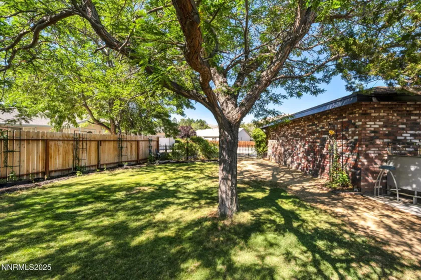 734 and 732 Sean, Carson City, Nevada 89701, ,Residential Income,Residential,Sean,250053606