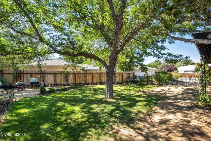 734 and 732 Sean, Carson City, Nevada 89701, ,Residential Income,Residential,Sean,250053606