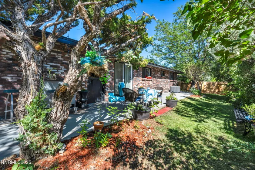734 and 732 Sean, Carson City, Nevada 89701, ,Residential Income,Residential,Sean,250053606