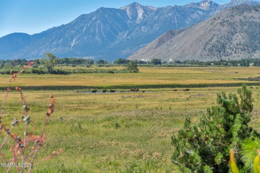 2789 Copperbush, Genoa, Nevada 89411, 3 Bedrooms Bedrooms, ,4 BathroomsBathrooms,Residential,Residential,Copperbush,250053610