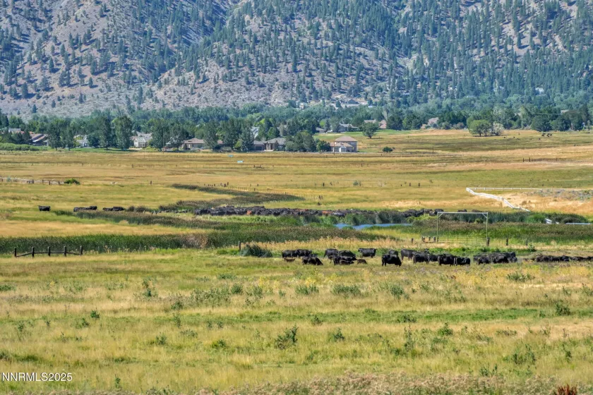 2789 Copperbush, Genoa, Nevada 89411, 3 Bedrooms Bedrooms, ,4 BathroomsBathrooms,Residential,Residential,Copperbush,250053610