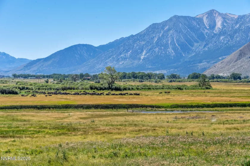 2789 Copperbush, Genoa, Nevada 89411, 3 Bedrooms Bedrooms, ,4 BathroomsBathrooms,Residential,Residential,Copperbush,250053610